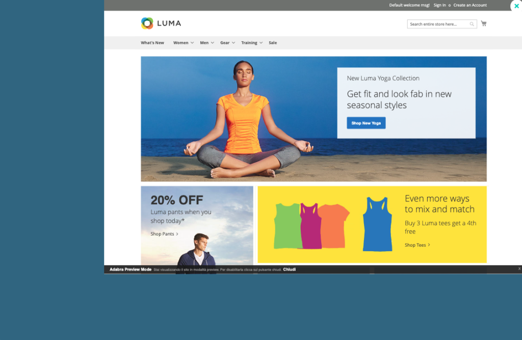 Next picture in Picture